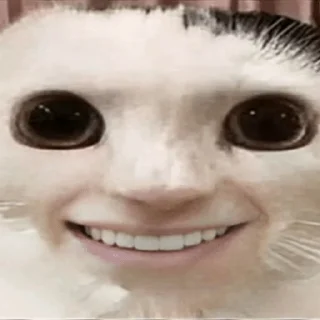 Video sticker 😁 Zaga на каждый день