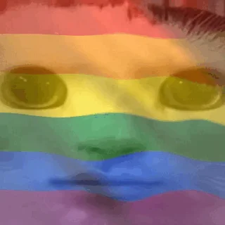 Video sticker 🏳️‍🌈 Zaga на каждый день