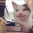 Telegram sticker 🙂 حقت مجزعع بس