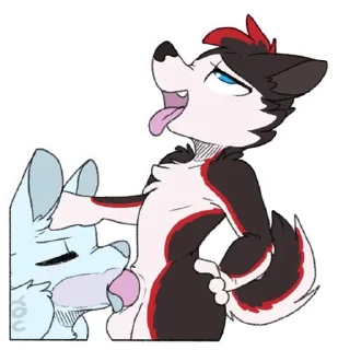 Video sticker ❤️ Kipi Furry 🦊 NSFW — @stckrRobot
