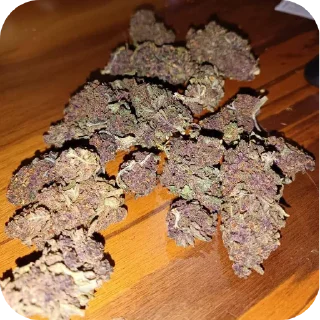 Telegram sticker 🍲 fri sticker @beytocancelik