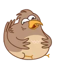 Sticker 😂 Sharp-eyed Falcon