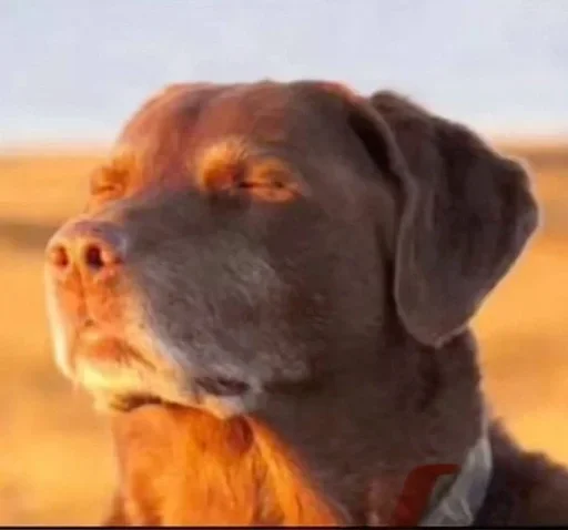 Telegram sticker 🌟 Sam Hater Arc