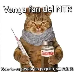 Sticker 🐱 Ozi pack