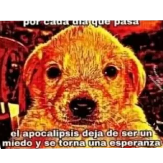 Video sticker 🖼 Ozi pack