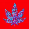 Video sticker 🤩 @Marijuana_Coce ¹...