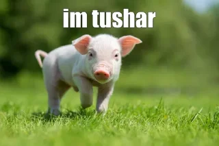 Telegram sticker 😂 @THARKI_BAAZ's Pack 1