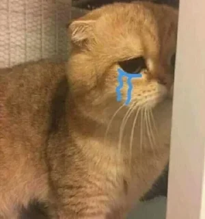 Video sticker 😢 @THARKI_BAAZ's Pack 1