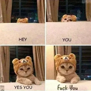 Sticker 🏵 @THARKI_BAAZ's Pack 1