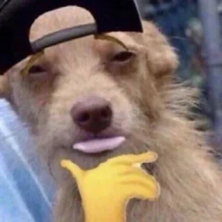 Video sticker 🌚 iNSANE STICKERS