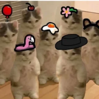 Telegram sticker 🌚 iNSANE STICKERS