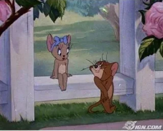 Video sticker 🥰 نوني