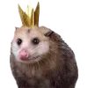 Sticker 🫥 Opossums by @sweetestmemor1es