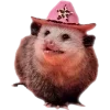 Video sticker 🫥 Opossums by @sweet...