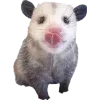 Sticker 🫥 Opossums by @sweetestmemor1es