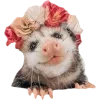 Sticker 🫥 Opossums by @sweetestmemor1es