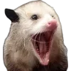 Sticker 🫥 Opossums by @sweetestmemor1es