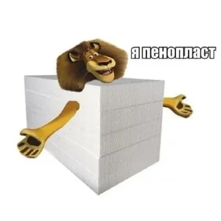 Video sticker 🥰 сырок дружба хуй один два три 🤕 :: @fStikBot