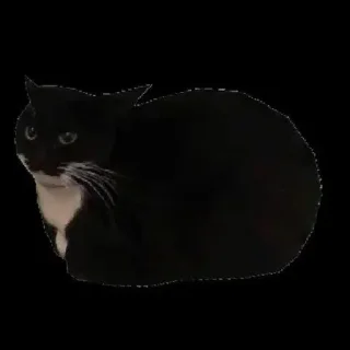 Telegram sticker 🌟 сырок дружба хуй один два три 🤕 :: @fStikBot