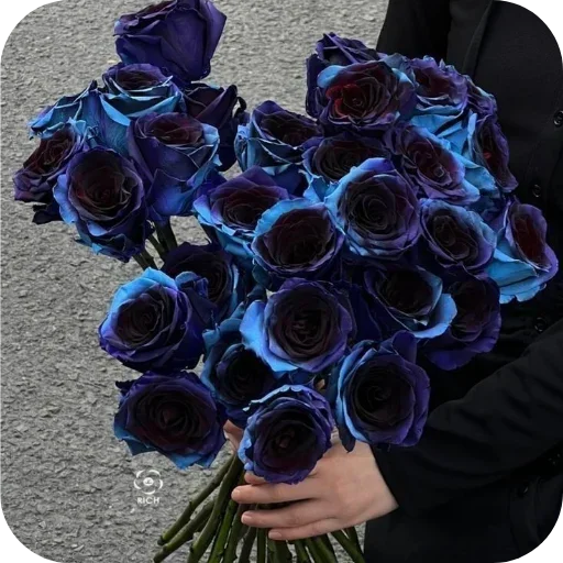 Telegram sticker 🍽 Naksh ka pack:: @fStikBot