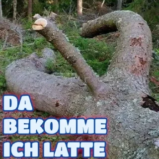 Telegram sticker 🌳 Psycho Delic