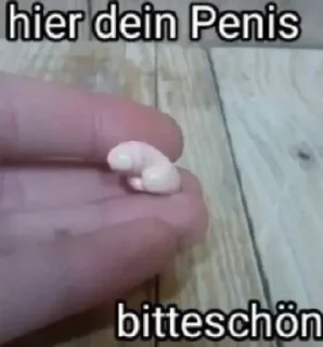 Telegram sticker 🦢 Psycho Delic