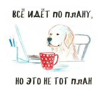 Video sticker 🫨 Больше стикеров тут: @stikery_emodzi_memy