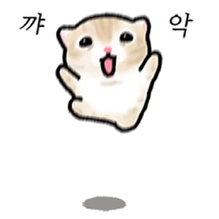 Telegram sticker ⭐ 작아요 고먕이 2 @moe_sticker_bot