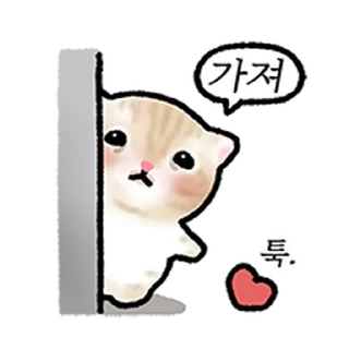 Video sticker ⭐ 작아요 고먕이 2 @moe_sticker_bot