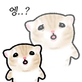 Video sticker ⭐ 작아요 고먕이 2 @moe_sticker_bot