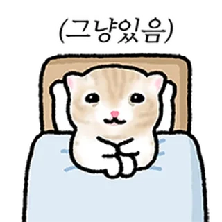 Telegram sticker ⭐ 작아요 고먕이 2 @moe_sticker_bot