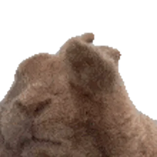 Video sticker 🐰 橙子出海-供需资源群 @c65588 :: @czEmojiBot