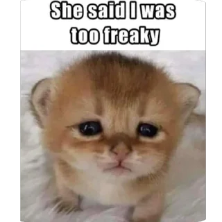 Telegram sticker 🫥 AF5K :: @fStikBot