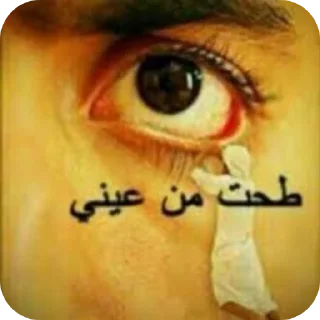 Telegram sticker 👍 محد مهتم klws