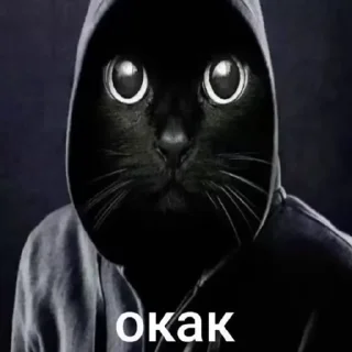 Video sticker 😜 Больше стиков тут: @stikery4