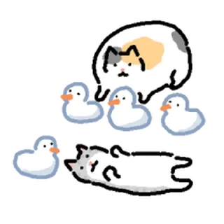 Video sticker ⭐ 겨울 고앵이모음 @moe_sticker_bot