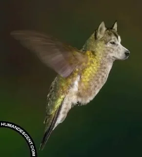 Telegram sticker 🌟 гибриды :: @fStikBot