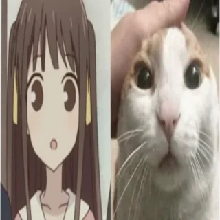Video sticker 🙀 Тору Хонда | @bigorestboss