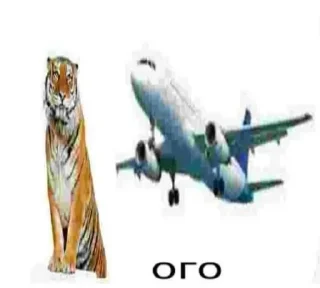 Video sticker 😲 какащке v2.0) @ItsYomka :: @fStikBot