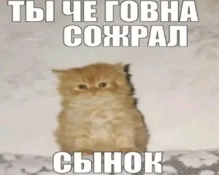 Telegram sticker 💩 какащке v2.0) @ItsYomka :: @fStikBot