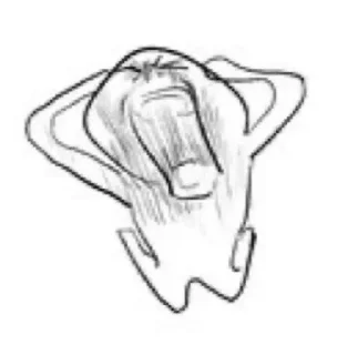 Telegram sticker 🌟 Я хуею с этой дуры