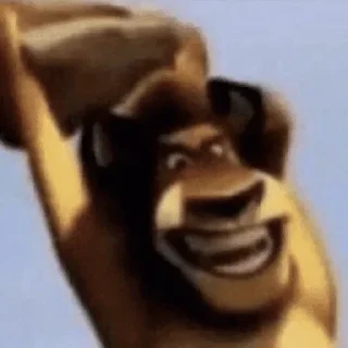 Video sticker 🪨 Я хуею с этой дуры