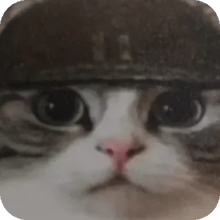 Телеграм стикер 🐱 Эпэпжм @TgEmodziBot