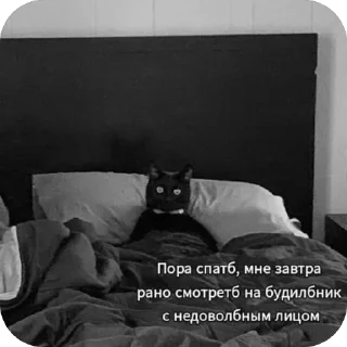 Video sticker 🫥 مـ :: @fStikBot