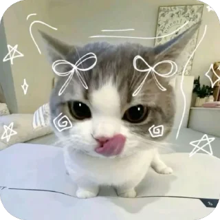 Video sticker 🫥 blanche luv @TgEmodziBot