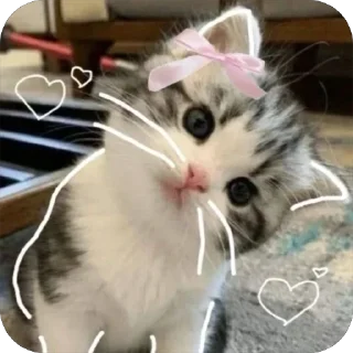 Sticker ☺️ blanche luv @TgEmodziBot