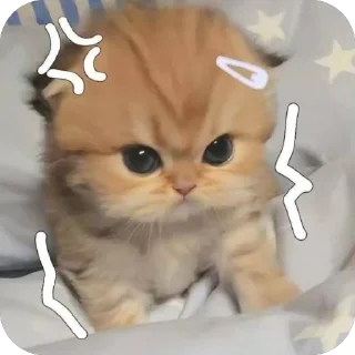 Телеграм стикер 🫥 blanche luv @TgEmodziBot