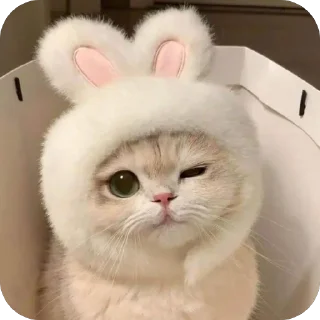 Video sticker 🫥 blanche luv @TgEmodziBot