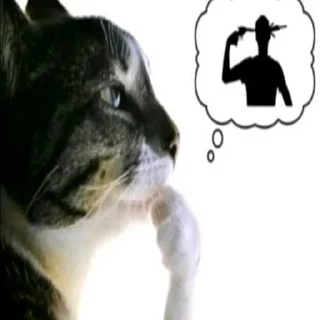 Video sticker 😒 ts so tuff