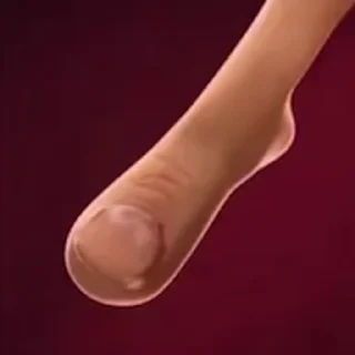 Video sticker 🤩 Больше стиков тут: @stikery4